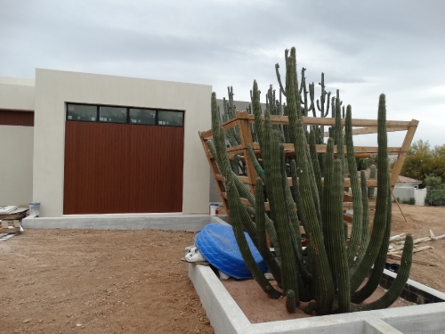 29 Views Residents_13