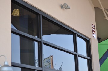 Animal Welfare League_2