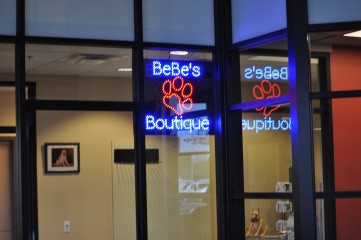 Animal Welfare League_5