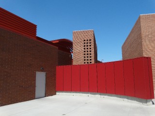 Arizona Cardinals _11