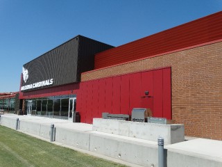 Arizona Cardinals _12