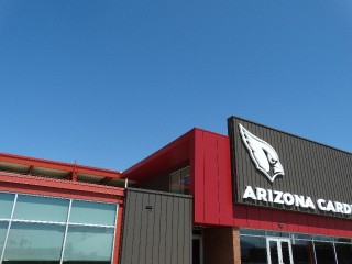 Arizona Cardinals _17