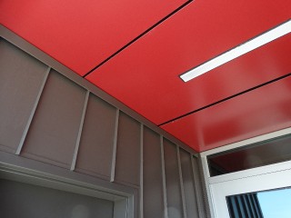 Arizona Cardinals _19