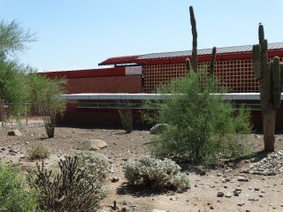 Arizona Cardinals _20