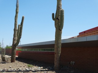 Arizona Cardinals _23