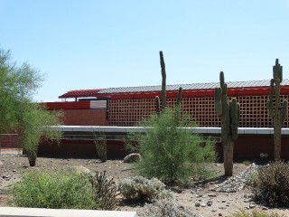 Arizona Cardinals _24