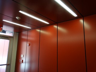 Arizona Cardinals _3