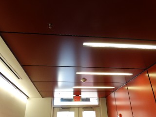 Arizona Cardinals _4