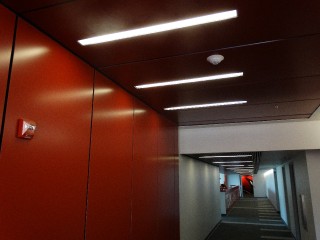 Arizona Cardinals _5