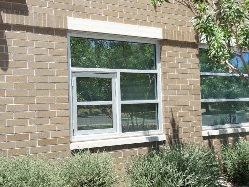 bio-life-phoenixxxx_7