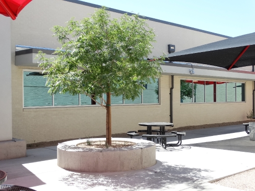 central-high-school_5