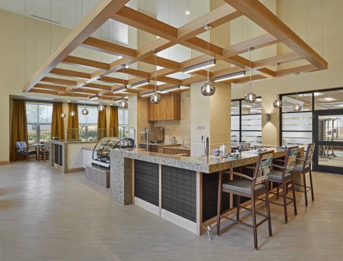 Mainstreet Rapid Recovery_7