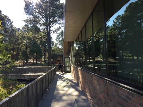 NAU South dining_53