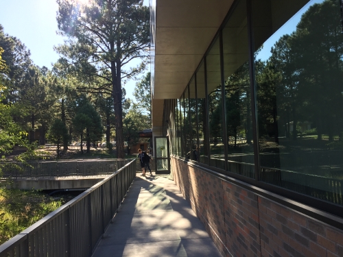 NAU South dining_54