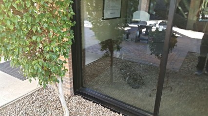 Scottsdale Airpark_39